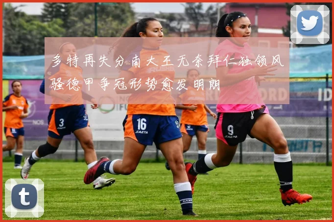 多特再失分南大王无奈拜仁独领风骚德甲争冠形势愈发明朗