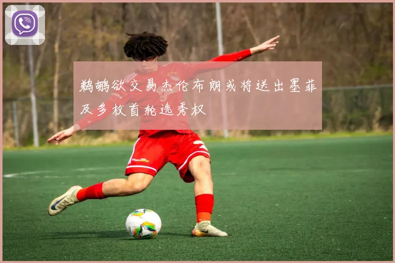 鹈鹕欲交易杰伦布朗或将送出墨菲及多枚首轮选秀权
